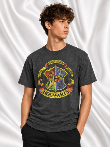 Hogwarts Teen T-Shirt